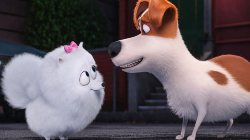 "La vida secreta de tus mascotas": Si pausa la película a los 13 minutos con 20 segundos, verás algo imperdonable