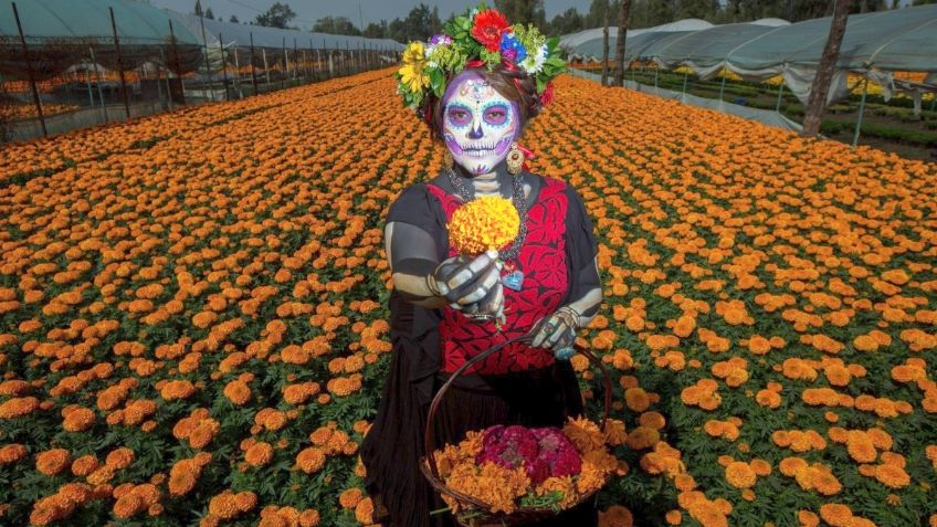 Día de Muertos 2023: ¿dónde comprar las mejores flores de cempasúchil en CDMX?