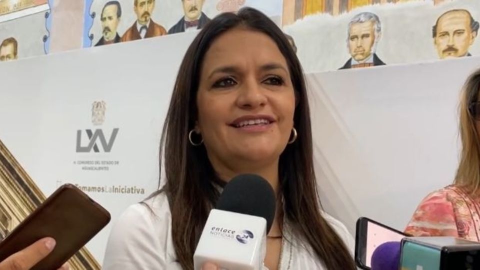 Diputada del Congreso de Aguascalientes