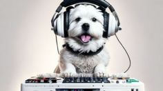 Esta es la música preferida de los perros, según estudio