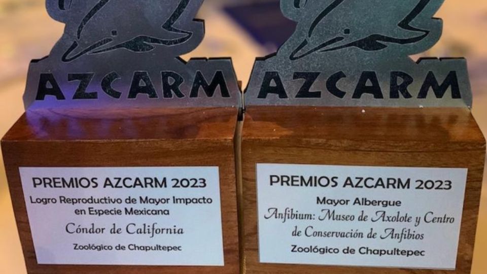 Los premios fueron entregados por directivos durante una ceremonia