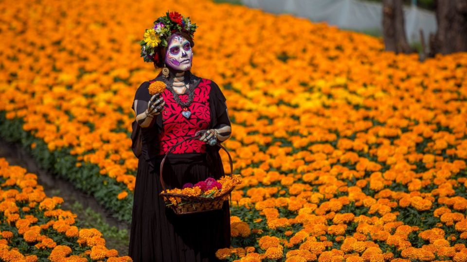 La flor de cempasúchil es un símbolo del Día de Muertos.