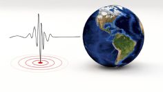 Se registra sismo de intensidad 5.2 en Guerrero, no se activó la Alerta Sísmica en CDMX