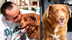 ¡Adiós amigo! Muere en Portugal el perro más viejo del mundo