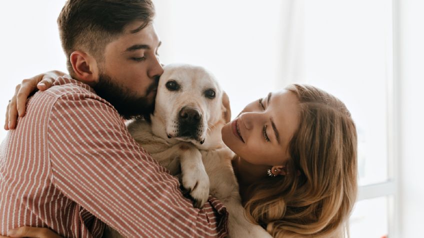 Tribunal Superior de Colombia reconoce por vez primera a un perro como miembro de una familia