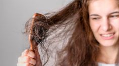 ¿Tienes el cabello seco? si agregas aceite de naranja a tu shampoo podrás recuperar la hidratación