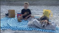 "Es tu último día en la Tierra", así fue la despedida más tierna y junto al mar de un perrito muy viejito