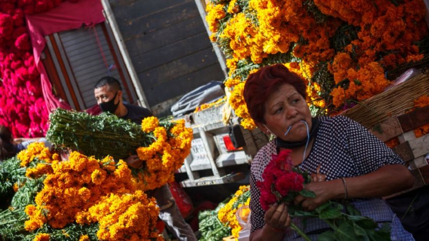 Así es el Mercado de Jamaica donde puedes comprar cempasúchil y todo para el Día de Muertos 2023