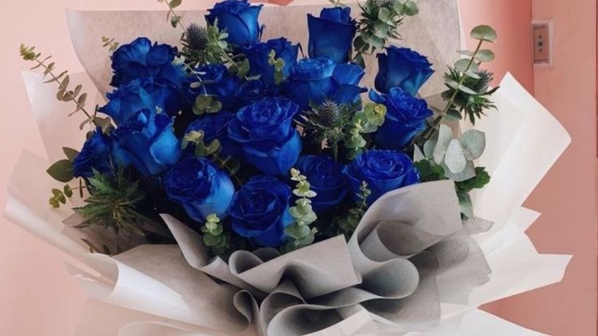 ¿Por qué debes regalar flores azules este 3 de octubre? La razón es muy poderosa