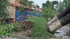 VIDEO: La Venta fue de las zonas más devastadas por “Otis”, el agua alcanzó hasta dos metros de altura