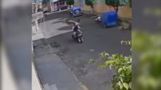 ¡Desde la tercera cuerda! Un perrito se lanza a un motociclista desde un balcón y pierde el control: VIDEO