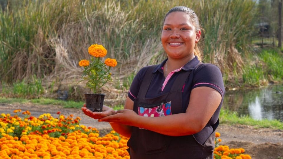 Irene Benavidez, floricultora del Suelo de Conservación, mostrando la flor de cempasúchil cultiva en su zona.