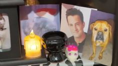 Homenaje al puro estilo mexa: ponen fotografía de Matthew Perry en el altar de Día de Muertos