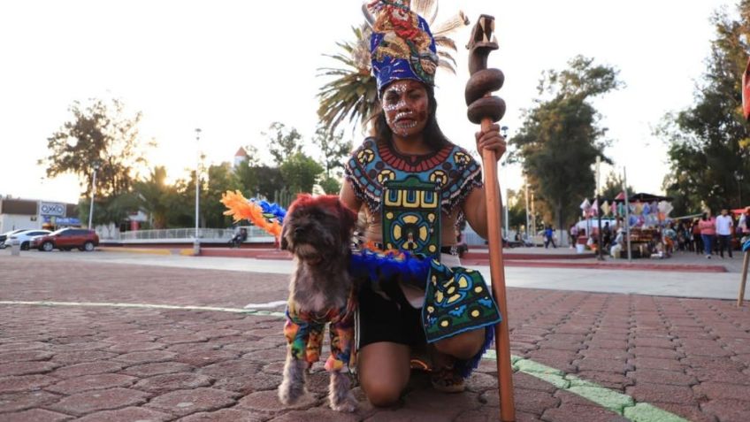 “Un espelúznate y peludo Día de Muertos”: Tecámac realiza concursos de disfraces para perritos y sus dueños