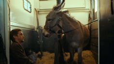 La película que parece contar la travesía de un burro, pero muestra la crueldad humana y te hará llorar, está en Mubi