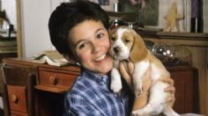 Contén el aliento antes de ver como luce Fred Savage a 40 años de acabar la serie Los Años Maravillosos