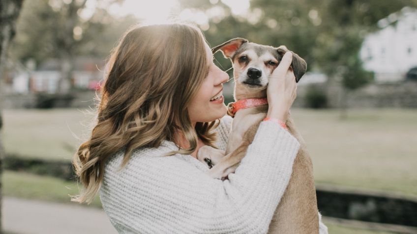 Día mundial de los animales: 3 beneficios de tener un mejor amigo peludito en tu casa