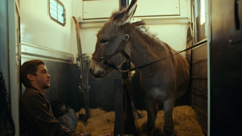 La película que parece contar la travesía de un burro, pero muestra la crueldad humana y te hará llorar, está en Mubi