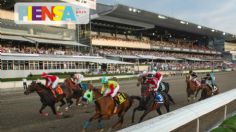 Caballos de carrera: ¿Cuántos mueren en pista?