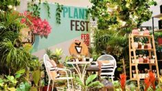 Plant Fest CDMX: si eres amante de las plantas no te pierdas este evento gratis