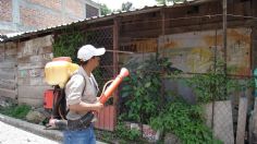 Chinches en la casa: ¿cuánto cuesta fumigar contra estos insectos en México?