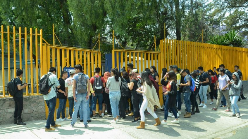 Chinches en la UNAM: CCH anuncia el cierre de todos sus planteles por fumigación