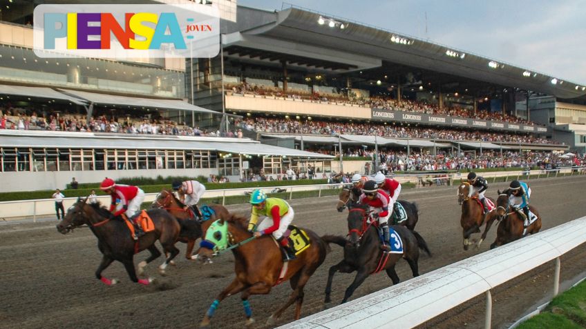 Caballos de carrera: ¿Cuántos mueren en pista?