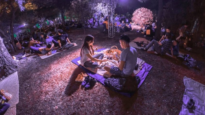 Picnic nocturno en el Bosque de Chapultepec: vive una experiencia mágica y completamente gratis