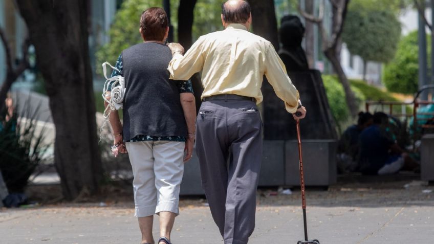 Tarjeta INAPAM 2023: todos los DESCUENTOS que habrá en otoño para los adultos mayores