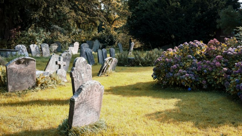 Abandonan los cuerpos de 6 recién nacidos en la entrada de un cementerio de República Dominicana