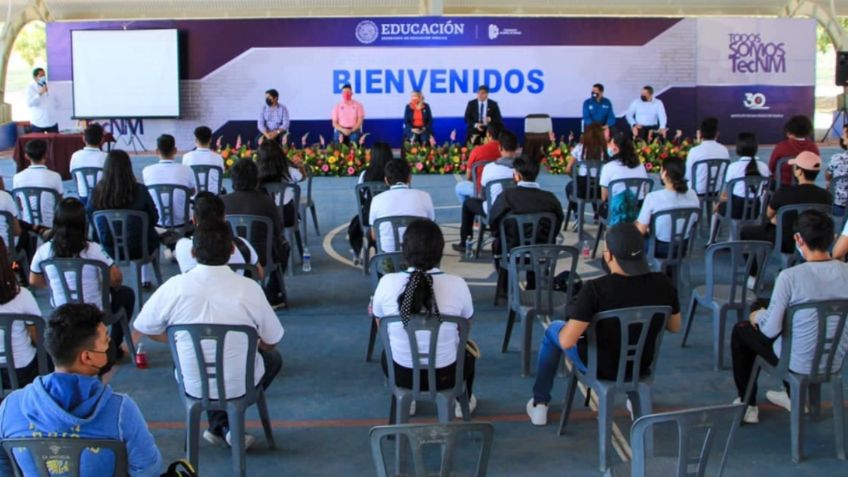 Guerrero: proyectan exposición de Cerebros Humanos y Museográfica