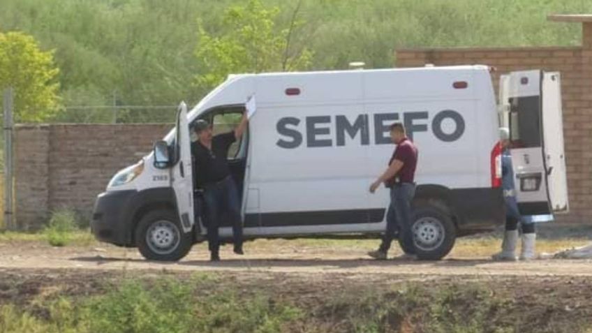 Asesinan a una mujer en Sonora y abandonan su cadáver con signos de tortura, en un camino de terracería