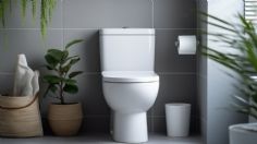 5 consejos esenciales para mantener tu baño ultra limpio y con buen olor