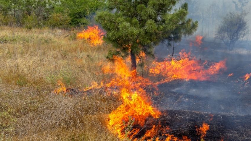 Vientos de Santa Ana: ¿por qué es tan peligroso este fenómeno meteorológico que se aproxima?