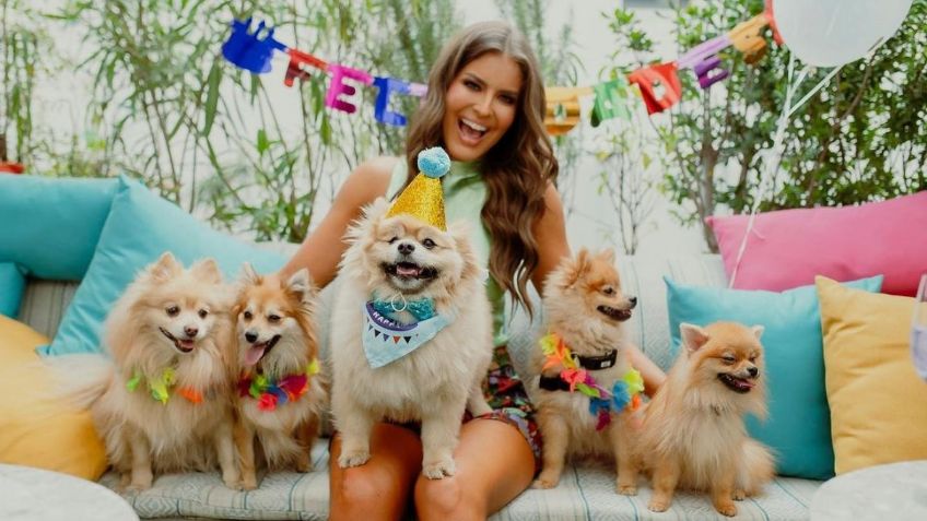 Rodeado de lujos e invitados peludos, perrhijo de Vanessa Claudio celebra su cumpleaños como un niño rico