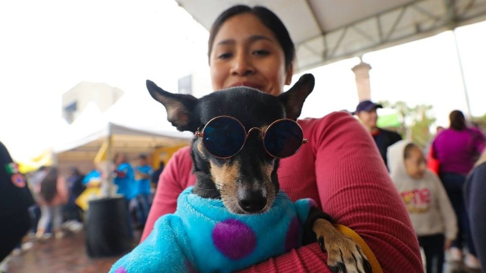 Mariana Rodríguez, esposa del gobernador de Nuevo León, Samule García inauguró la primera edición del MacroPet