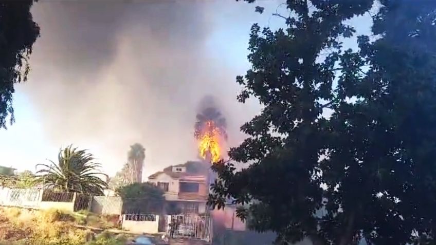 Vientos de Santa Ana provocan incendios en distintas zonas de Tijuana