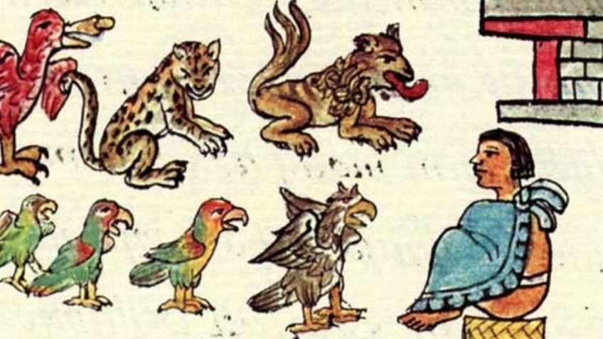 ¿Cómo era el “zoológico” de Moctezuma que impactó a los conquistadores?