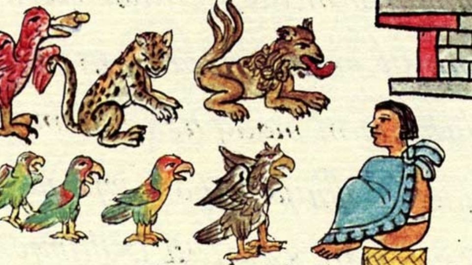 El Totocalli de Moctezuma tenía centenares de animales.