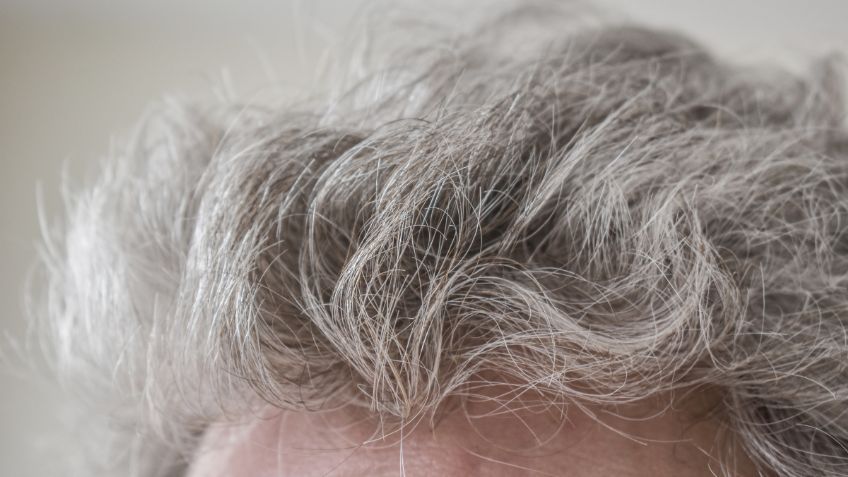 Dile adiós a las canas para siempre: conoce la verdura colmada de fibra ideal para quitarlas al instante