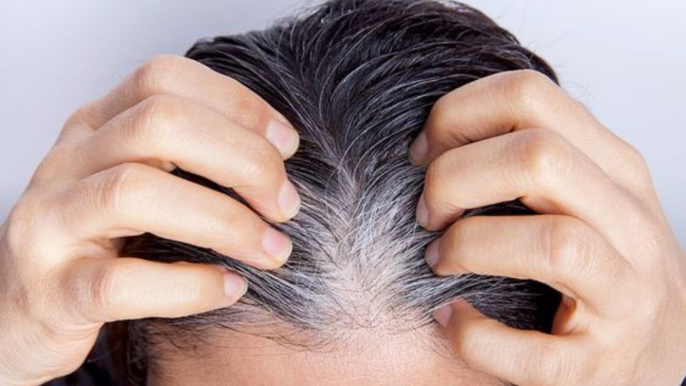 Conoce cuáles son los trucos para disimular las canas sin teñirte el cabello