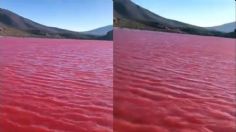 El río Nilo se pinta de rojo: El terrible presagio bíblico detrás de este fenómeno