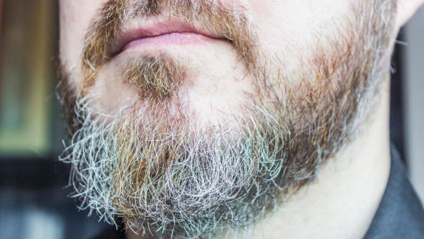 ¿Canas en la barba? Con estos ingredientes puedes combatirlas fácilmente