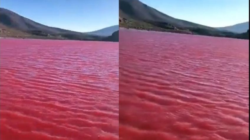 El río Nilo se pinta de rojo: El terrible presagio bíblico detrás de este fenómeno