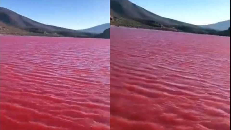 ¿Un preagio funesto? El Río Nilo se pinta de rojo y los habitantes de Egipto entran en pánico