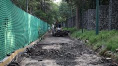 Sedema retira asfalto en Bosque de Chapultepec para incrementar áreas verdes