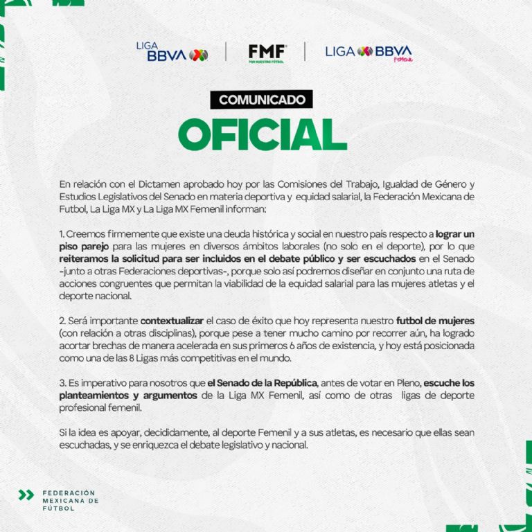 FMF se pronunció tras la aprobación del dictamen en el tema de la igualdad salarial en el deporte profesional