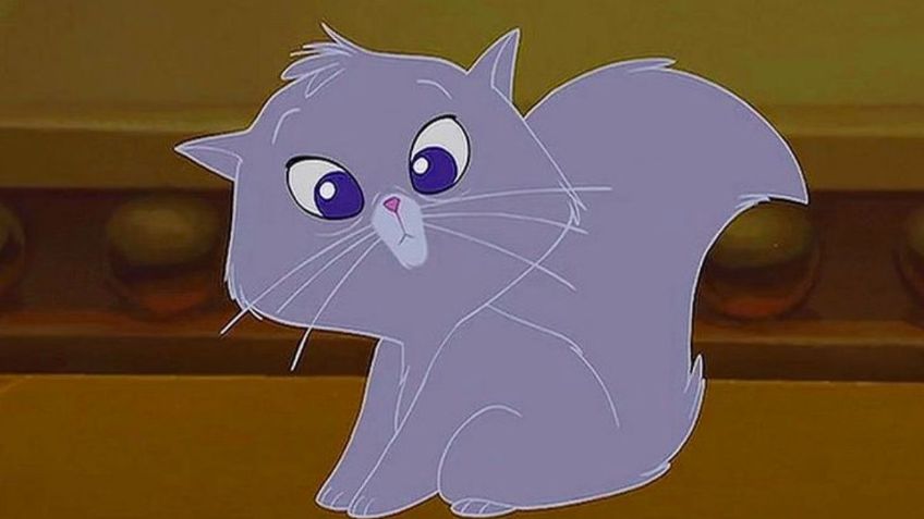 Gatito recrea escena de "Las Locuras del Emperador" y las redes estallan ante su parecido con Yzma