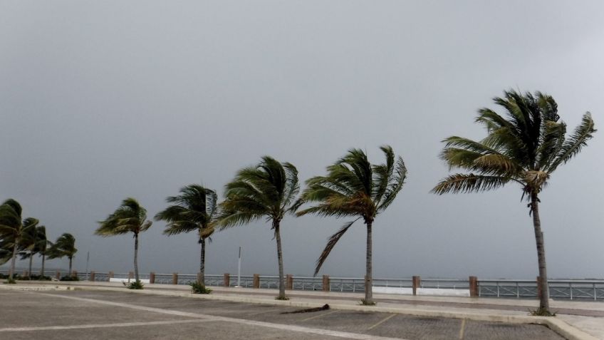 Se forma ciclón tropical 22: ¿cuándo tocará tierra en México?