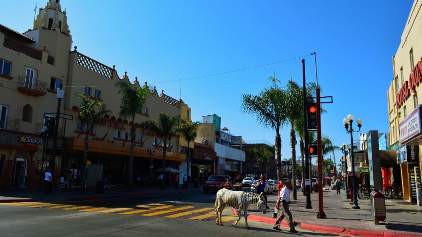 Tijuana… ¡en seis horas!